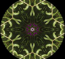 Oregon Grape by Dayonda