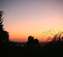 Last Night On Earth by Annica93