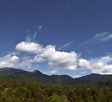 On a Clear Day by Shane Viper