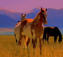 Paint Me Fearless by Jeanne Nations