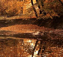 Autumn mirror lake. by demigod