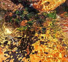 Rippling by Brian Downs