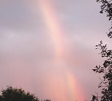 Halloween Rainbow by Ree Reid