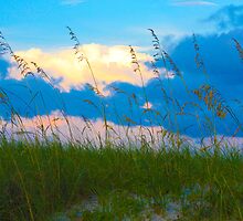 Pensacola Florida Sky by CDNPhoto