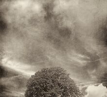 Storm Chaser by Alan Watt