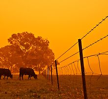 Dust Storm at 6.45am by Snaperture