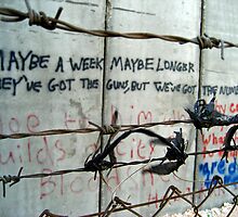 Bethlehem's Apartheid Wall - words of protest by Peter Mulligan