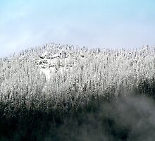 Season's First Mountain Snow by starlitewonder