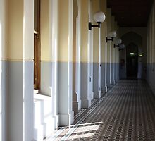 light in the hallowed halls by Karen E Camilleri
