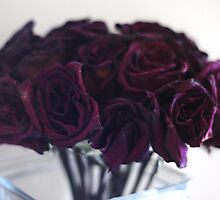 Ailing roses... by Tasha Prescott