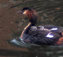 At least two little heads by steppeland