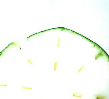 Don't ZUKE the ZUCH? by D. D.AMO
