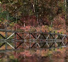 Barriers by Pamela Phelps