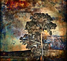 Chaos surrounds me but I stand tall by Manfred Belau