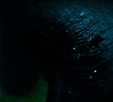 Fear by Laura Towersey