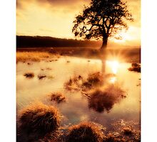 The Flood - Buildwas, nr Much Wenlock by rharris-images