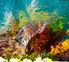 Sea Weed by MichaelCouacaud