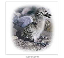 BEACH THICK-KNEE #4 by DilettantO