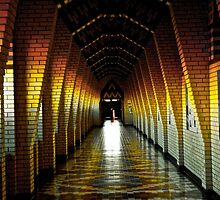 the tunnel of light by daniellehuard