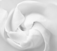 Heaven Scent by George Parapadakis (monocotylidono)