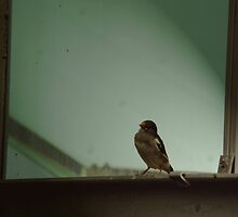 who is missing me today?. by Isa Rodriguez