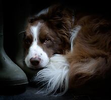 Smelly Welly 2 by Gazart