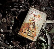 Abandoned Romance by Tama Blough