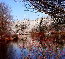 Winter Waterscape by Tricia Stucenski