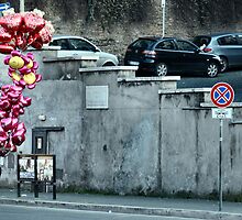 Will You Be My Valentine? (Desperado...) by Hushabye Lifestyles