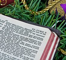 His Story by Maria Dryfhout