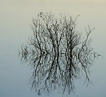 Mirror by briggs86