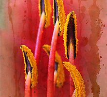 Love Grows by Tainia Finlay