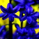 Untitled by Fibby-Infinity