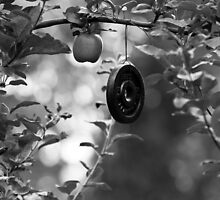 Apple and Weight Tree by Edward Myers