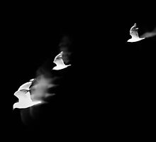 smoking birds by keoneandkenya