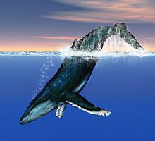 Humpback Whale by Walter Colvin