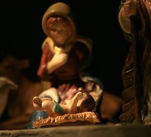 Baby Jesus in a Manger... by RockyWalley