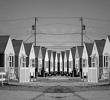 Little Boxes by Mary Ann Reilly