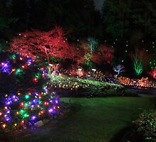 Night in the Sunken Garden (4) by George Cousins