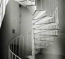 Step up Canberra by Rosina Lamberti