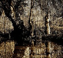 Lady of the Lake by JakeGalson
