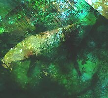 rainforest waters by Durham White