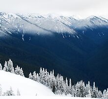 Light Dusting by Amy Hale