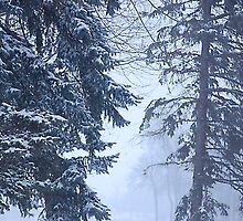 Winter Ghosts by Joanne Bradley