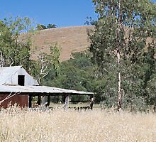 Outback Hope by Greg Carrick