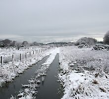Winter Snow Scene by stebird