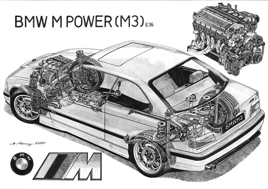 BMW M3 e36 Cutaway by Steve Pearcy