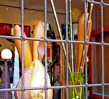 Gridded Shopfront by MaluC