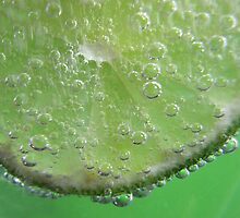Lime Tingle by SharonD
