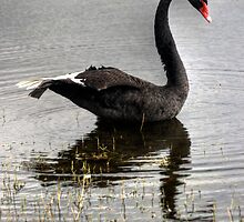 Lady of the Lake by GerryMac